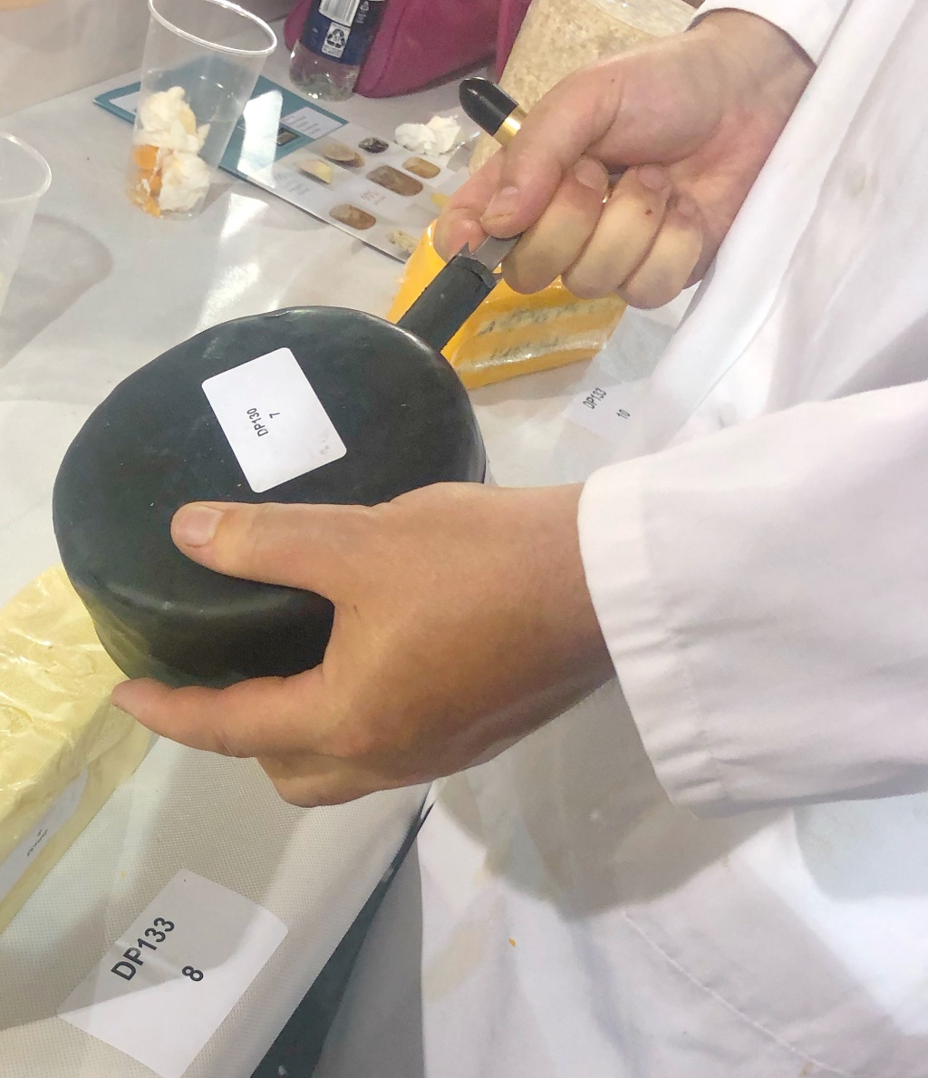 Judging Cheese and Wine – From the Peoples Choice Wine Awards to the International Cheese Awards