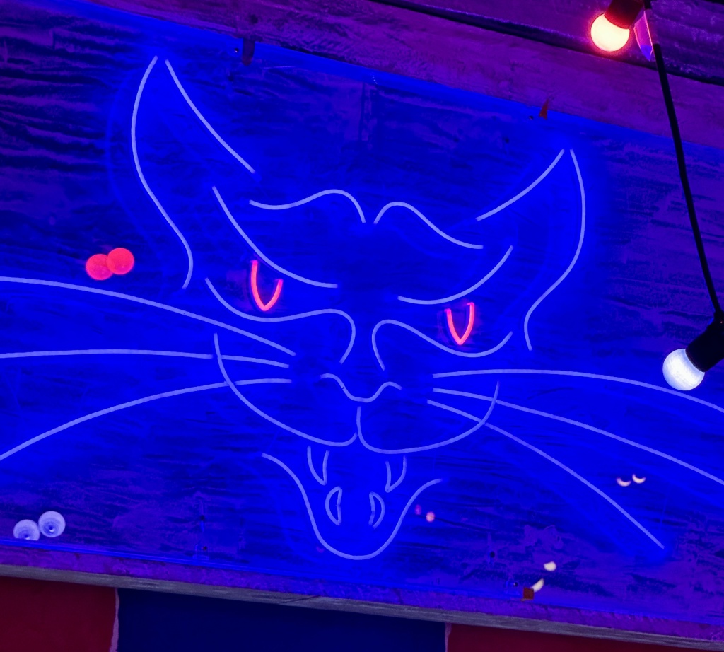 New Bar Opening – Mean Eyed Cat